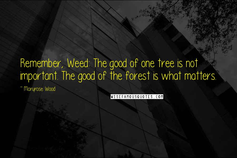 Maryrose Wood Quotes: Remember, Weed: The good of one tree is not important. The good of the forest is what matters.