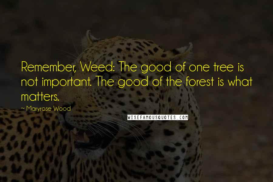Maryrose Wood Quotes: Remember, Weed: The good of one tree is not important. The good of the forest is what matters.
