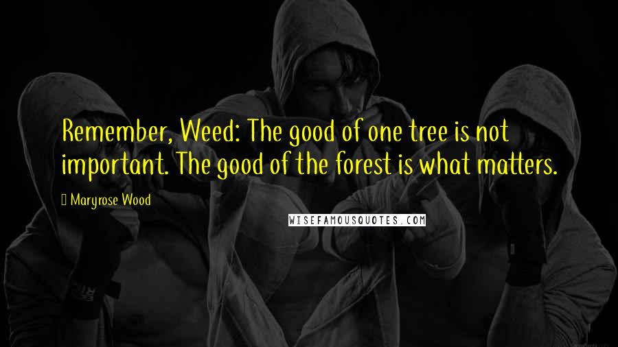 Maryrose Wood Quotes: Remember, Weed: The good of one tree is not important. The good of the forest is what matters.