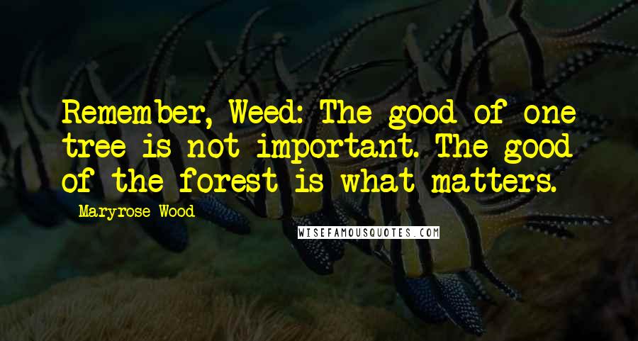 Maryrose Wood Quotes: Remember, Weed: The good of one tree is not important. The good of the forest is what matters.