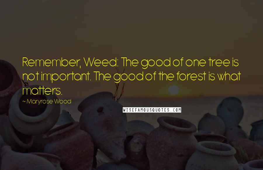 Maryrose Wood Quotes: Remember, Weed: The good of one tree is not important. The good of the forest is what matters.