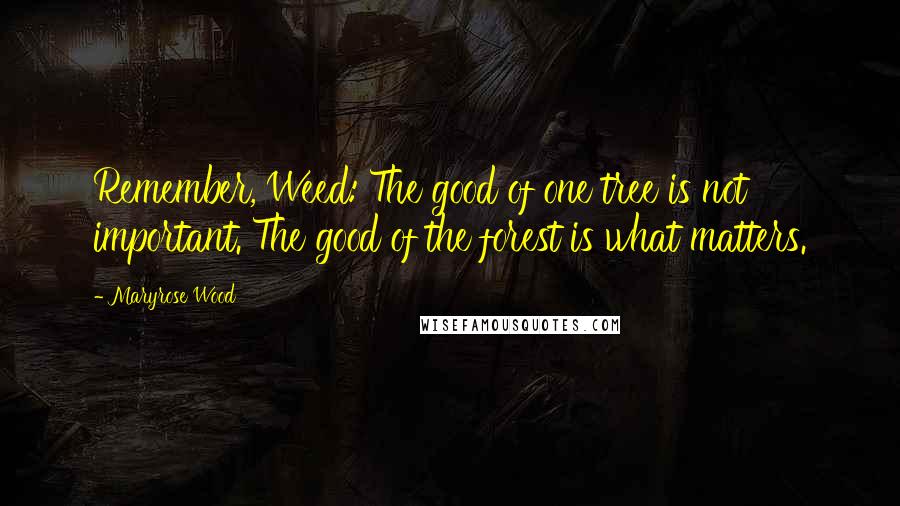 Maryrose Wood Quotes: Remember, Weed: The good of one tree is not important. The good of the forest is what matters.