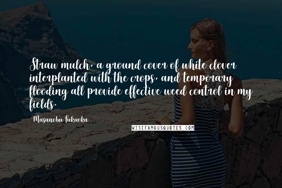 Masanobu Fukuoka Quotes: Straw mulch, a ground cover of white clover interplanted with the crops, and temporary flooding all provide effective weed control in my fields.