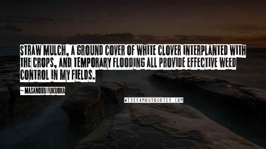 Masanobu Fukuoka Quotes: Straw mulch, a ground cover of white clover interplanted with the crops, and temporary flooding all provide effective weed control in my fields.