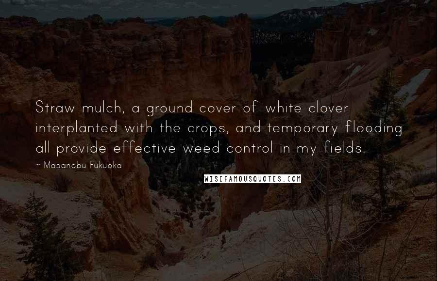 Masanobu Fukuoka Quotes: Straw mulch, a ground cover of white clover interplanted with the crops, and temporary flooding all provide effective weed control in my fields.