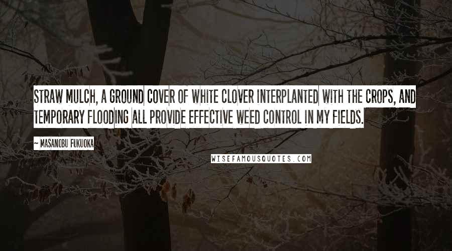 Masanobu Fukuoka Quotes: Straw mulch, a ground cover of white clover interplanted with the crops, and temporary flooding all provide effective weed control in my fields.