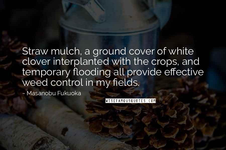 Masanobu Fukuoka Quotes: Straw mulch, a ground cover of white clover interplanted with the crops, and temporary flooding all provide effective weed control in my fields.