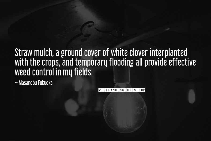 Masanobu Fukuoka Quotes: Straw mulch, a ground cover of white clover interplanted with the crops, and temporary flooding all provide effective weed control in my fields.