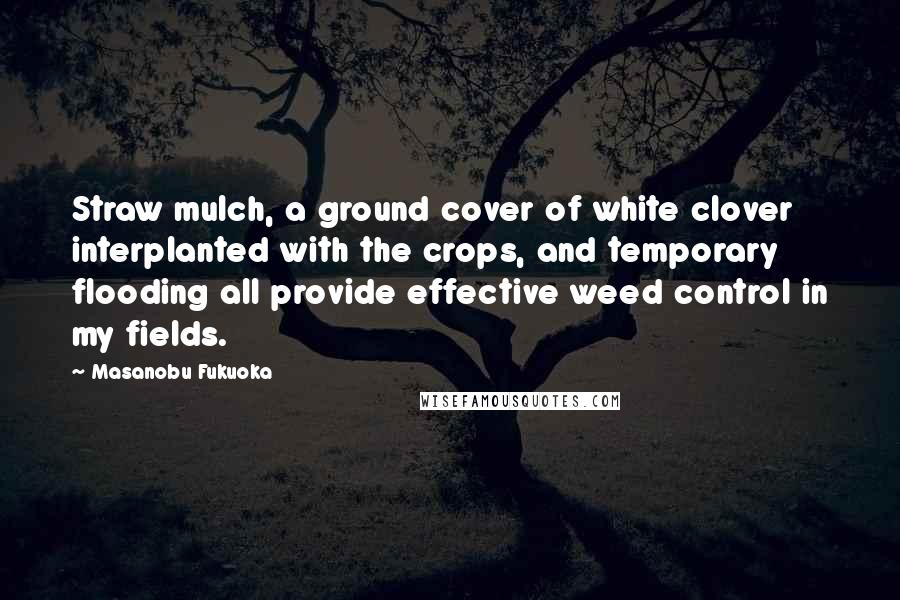 Masanobu Fukuoka Quotes: Straw mulch, a ground cover of white clover interplanted with the crops, and temporary flooding all provide effective weed control in my fields.