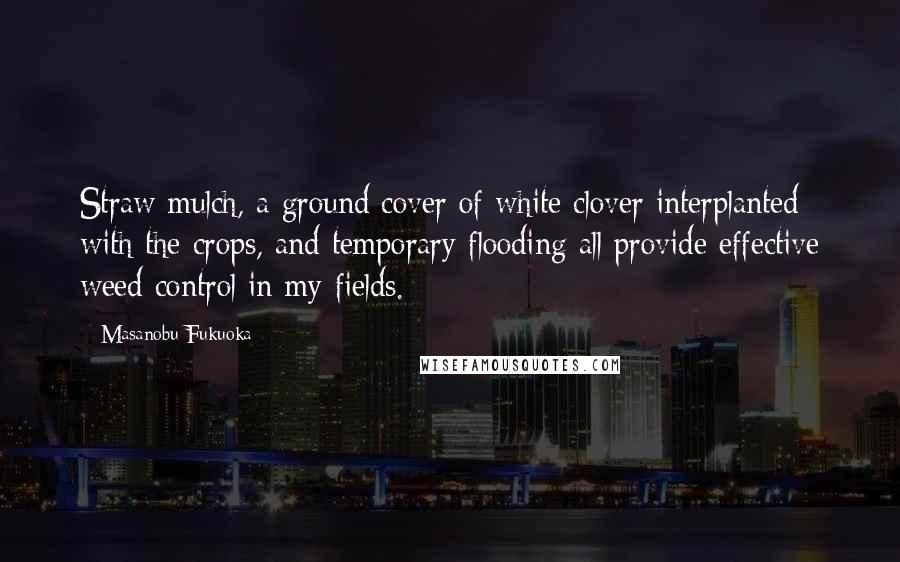 Masanobu Fukuoka Quotes: Straw mulch, a ground cover of white clover interplanted with the crops, and temporary flooding all provide effective weed control in my fields.