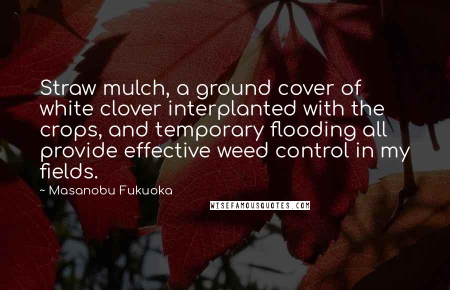 Masanobu Fukuoka Quotes: Straw mulch, a ground cover of white clover interplanted with the crops, and temporary flooding all provide effective weed control in my fields.