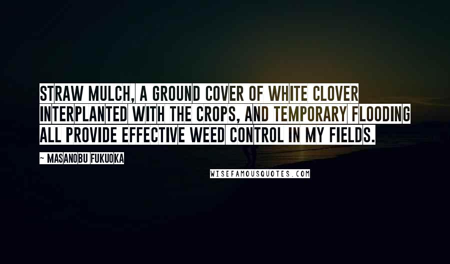 Masanobu Fukuoka Quotes: Straw mulch, a ground cover of white clover interplanted with the crops, and temporary flooding all provide effective weed control in my fields.