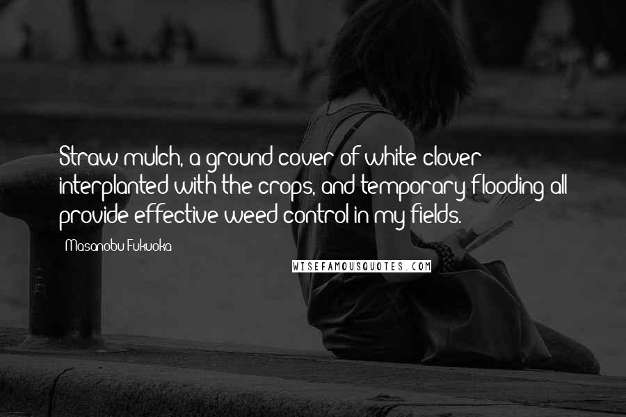 Masanobu Fukuoka Quotes: Straw mulch, a ground cover of white clover interplanted with the crops, and temporary flooding all provide effective weed control in my fields.