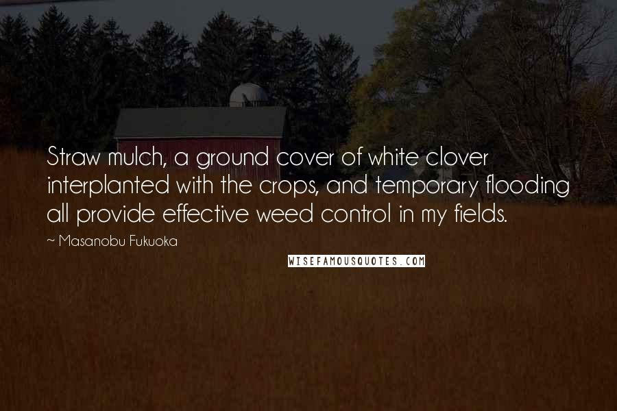 Masanobu Fukuoka Quotes: Straw mulch, a ground cover of white clover interplanted with the crops, and temporary flooding all provide effective weed control in my fields.
