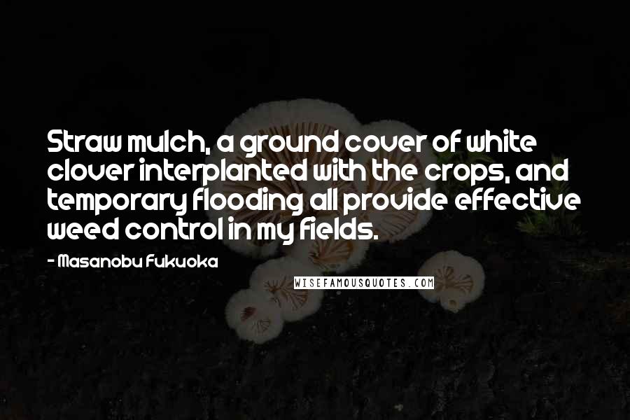 Masanobu Fukuoka Quotes: Straw mulch, a ground cover of white clover interplanted with the crops, and temporary flooding all provide effective weed control in my fields.