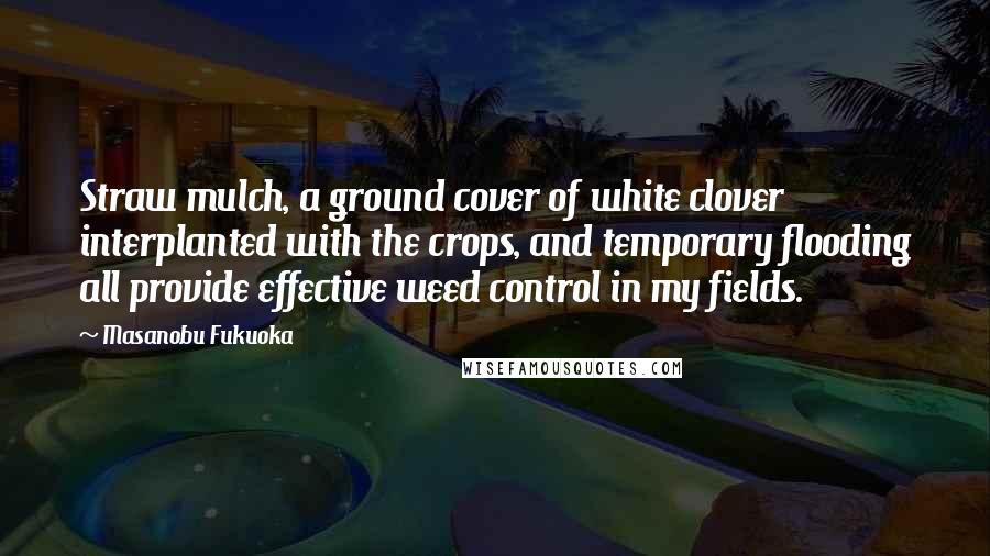 Masanobu Fukuoka Quotes: Straw mulch, a ground cover of white clover interplanted with the crops, and temporary flooding all provide effective weed control in my fields.