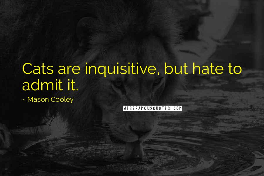 Mason Cooley Quotes: Cats are inquisitive, but hate to admit it.