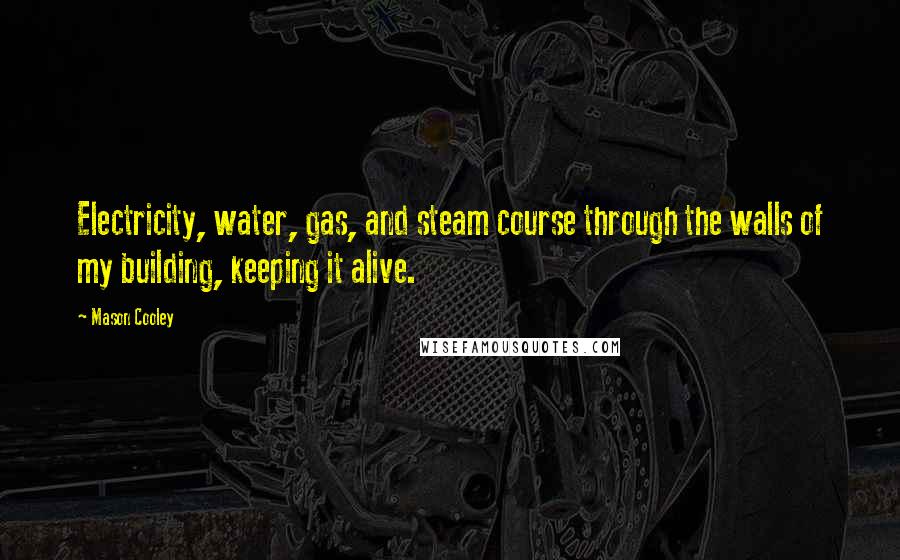 Mason Cooley Quotes: Electricity, water, gas, and steam course through the walls of my building, keeping it alive.