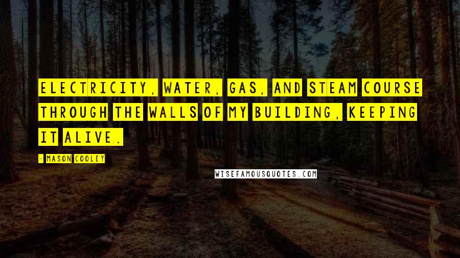 Mason Cooley Quotes: Electricity, water, gas, and steam course through the walls of my building, keeping it alive.