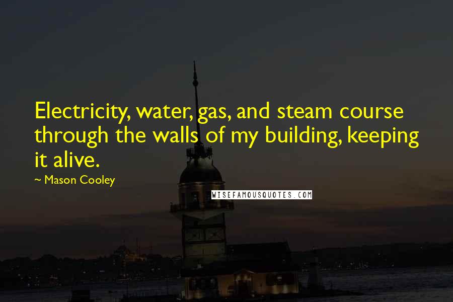 Mason Cooley Quotes: Electricity, water, gas, and steam course through the walls of my building, keeping it alive.