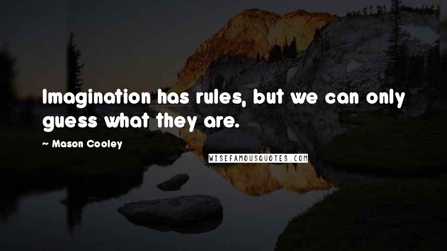 Mason Cooley Quotes: Imagination has rules, but we can only guess what they are.