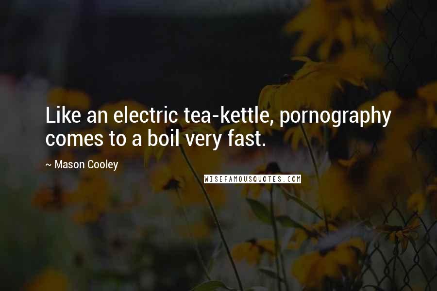 Mason Cooley Quotes: Like an electric tea-kettle, pornography comes to a boil very fast.