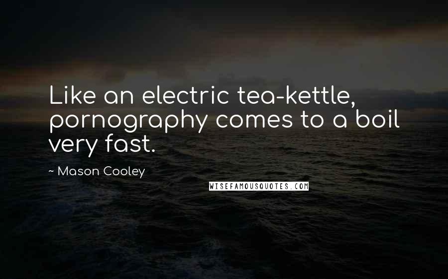 Mason Cooley Quotes: Like an electric tea-kettle, pornography comes to a boil very fast.