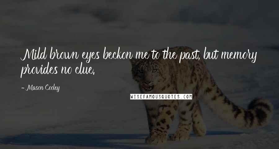 Mason Cooley Quotes: Mild brown eyes beckon me to the past, but memory provides no clue.