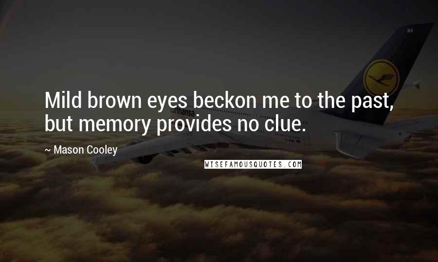 Mason Cooley Quotes: Mild brown eyes beckon me to the past, but memory provides no clue.