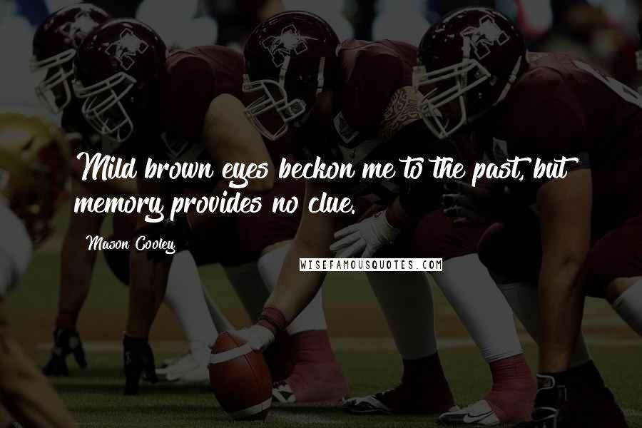 Mason Cooley Quotes: Mild brown eyes beckon me to the past, but memory provides no clue.