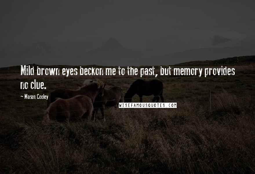 Mason Cooley Quotes: Mild brown eyes beckon me to the past, but memory provides no clue.