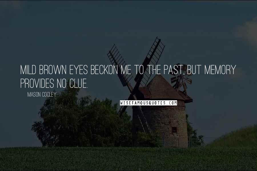 Mason Cooley Quotes: Mild brown eyes beckon me to the past, but memory provides no clue.