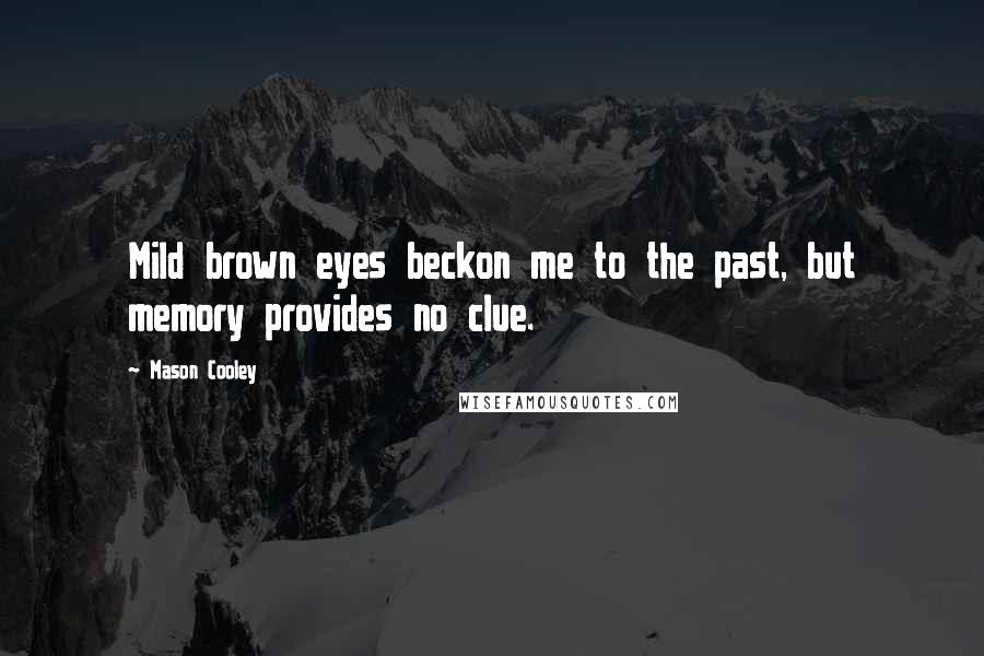 Mason Cooley Quotes: Mild brown eyes beckon me to the past, but memory provides no clue.