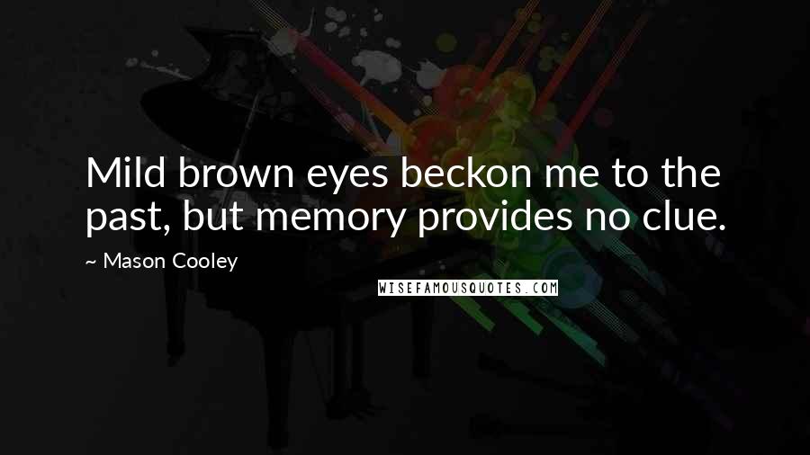 Mason Cooley Quotes: Mild brown eyes beckon me to the past, but memory provides no clue.