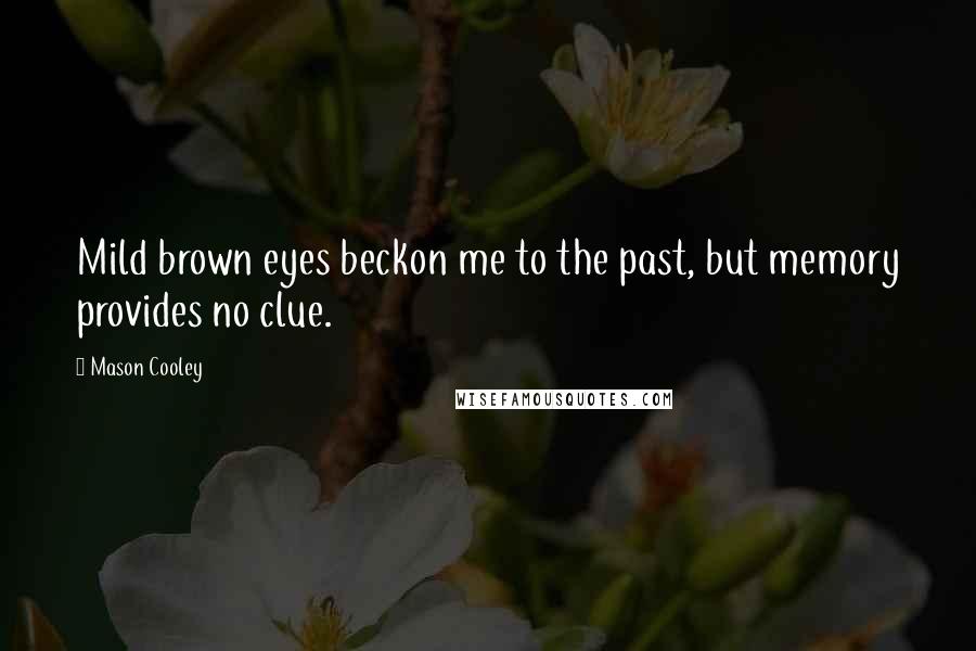 Mason Cooley Quotes: Mild brown eyes beckon me to the past, but memory provides no clue.