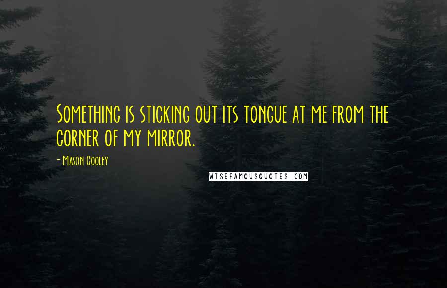 Mason Cooley Quotes: Something is sticking out its tongue at me from the corner of my mirror.