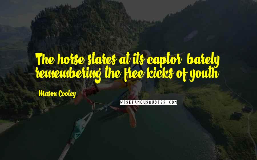 Mason Cooley Quotes: The horse stares at its captor, barely remembering the free kicks of youth.