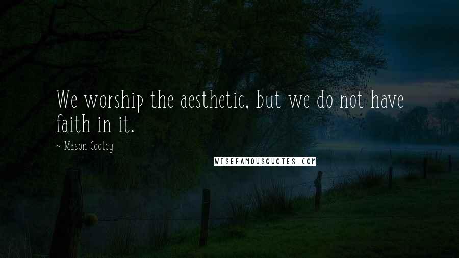 Mason Cooley Quotes: We worship the aesthetic, but we do not have faith in it.