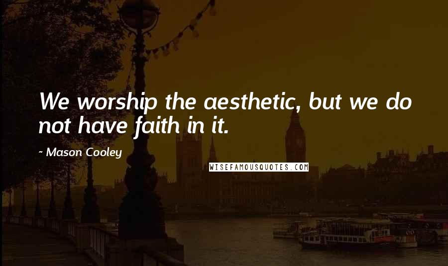 Mason Cooley Quotes: We worship the aesthetic, but we do not have faith in it.