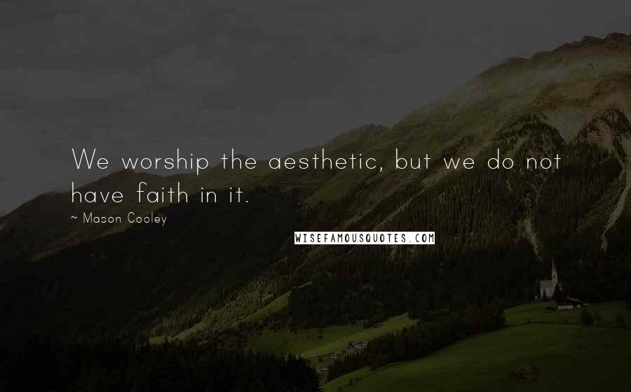 Mason Cooley Quotes: We worship the aesthetic, but we do not have faith in it.