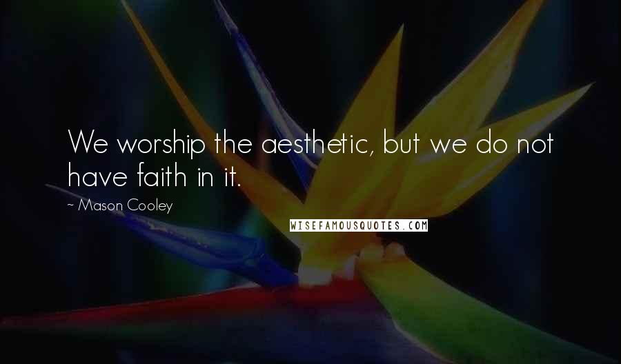 Mason Cooley Quotes: We worship the aesthetic, but we do not have faith in it.