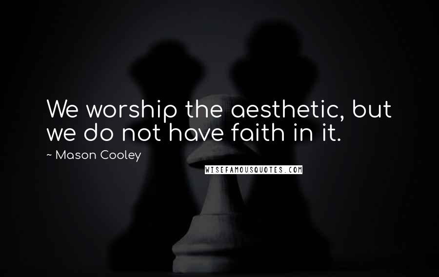 Mason Cooley Quotes: We worship the aesthetic, but we do not have faith in it.