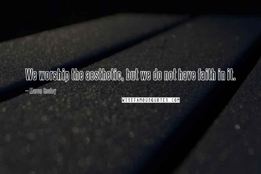 Mason Cooley Quotes: We worship the aesthetic, but we do not have faith in it.