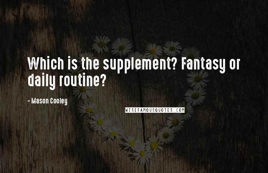 Mason Cooley Quotes: Which is the supplement? Fantasy or daily routine?