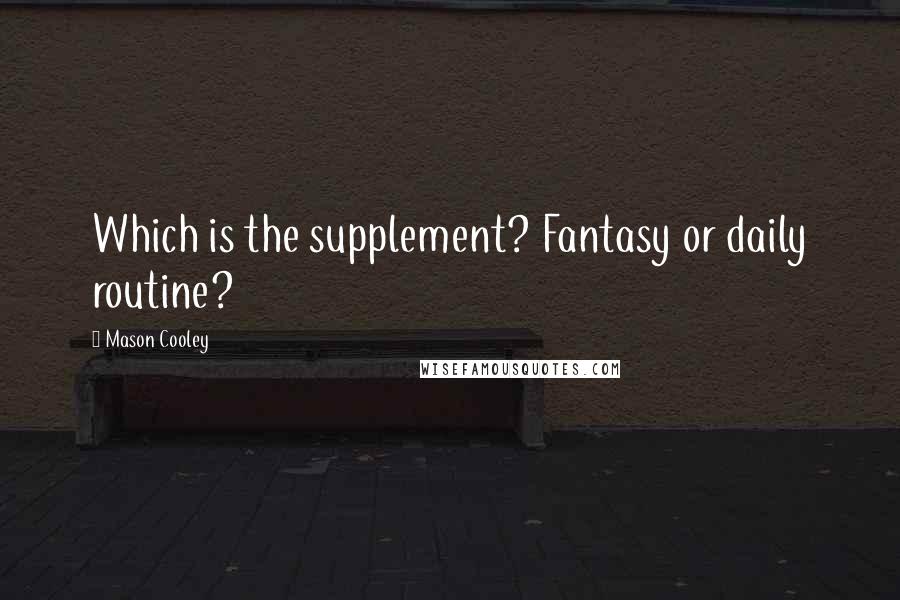 Mason Cooley Quotes: Which is the supplement? Fantasy or daily routine?