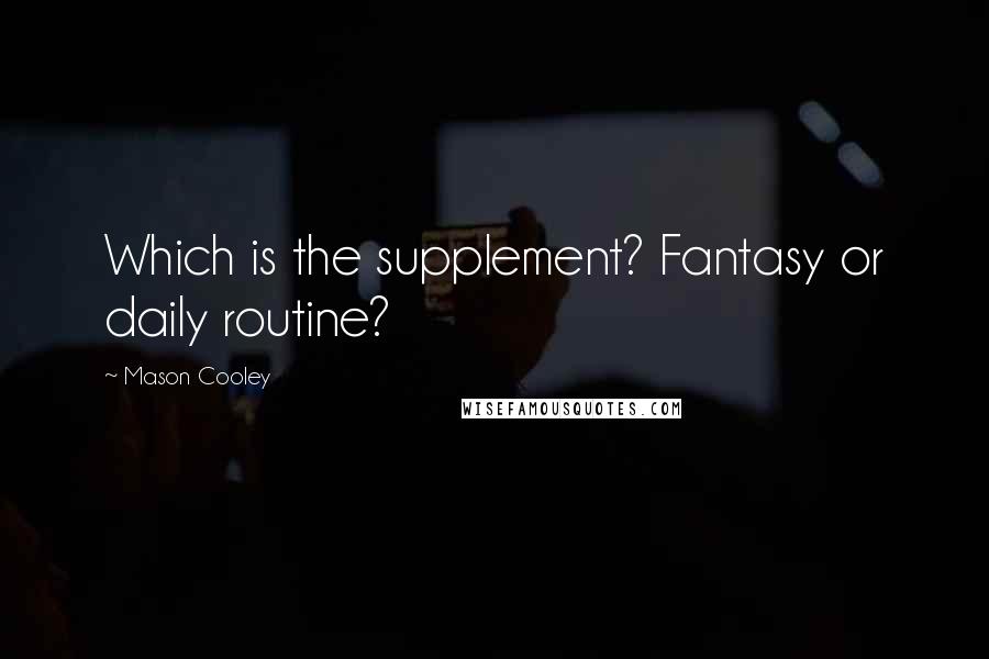 Mason Cooley Quotes: Which is the supplement? Fantasy or daily routine?