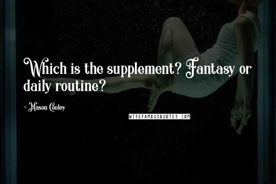 Mason Cooley Quotes: Which is the supplement? Fantasy or daily routine?