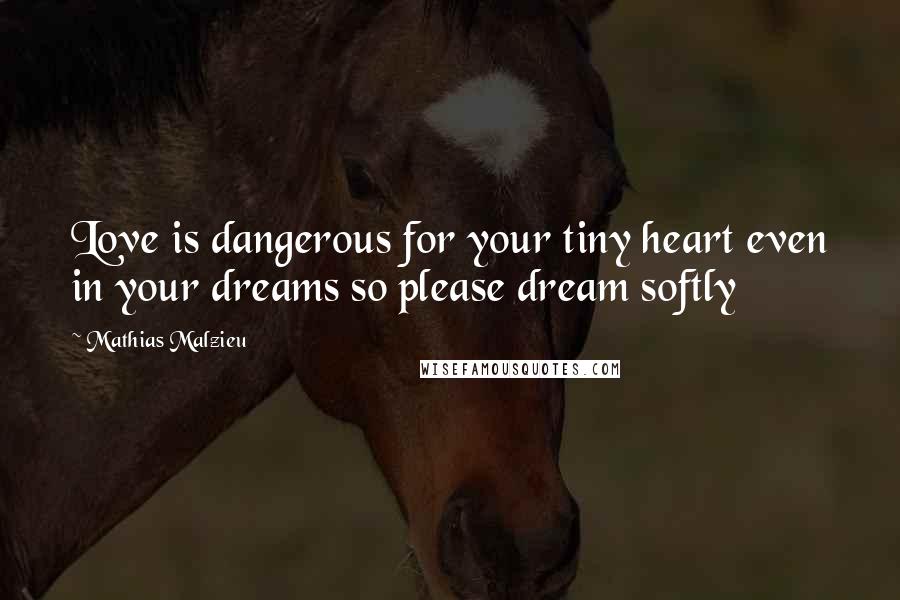 Mathias Malzieu Quotes: Love is dangerous for your tiny heart even in your dreams so please dream softly