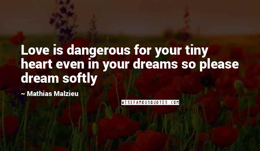 Mathias Malzieu Quotes: Love is dangerous for your tiny heart even in your dreams so please dream softly