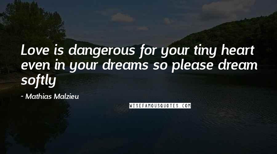 Mathias Malzieu Quotes: Love is dangerous for your tiny heart even in your dreams so please dream softly